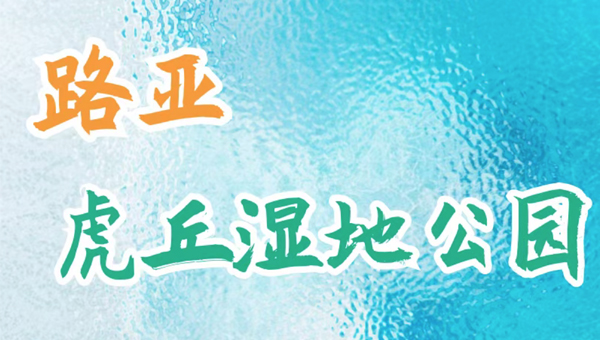 7481d124b24eacbbf00b2bd54b0afa34