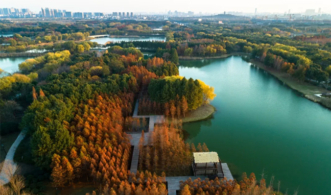 87e2c1f5ad50f0556689038e4a5619fa