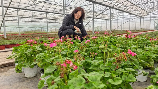 45b5545aa0d5aafa798efaf147e0d1bf